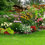 Landscaping and Gardening bangalore